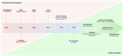 Novelties in the pharmacological approaches for chronic heart failure: new drugs and cardiovascular targets